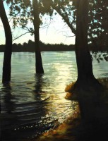 /album/fenykepgaleria/arviz-a-dunan-jpg/